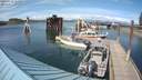 ./images/quadra/hbidock/20200515/hbidock20200515_161500M.jpg