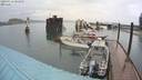 ./images/quadra/hbidock/20200516/hbidock20200516_082000M.jpg