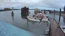 ./images/quadra/hbidock/20200516/hbidock20200516_205000M.jpg