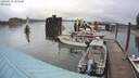 ./images/quadra/hbidock/20200517/hbidock20200517_121500M.jpg
