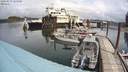 ./images/quadra/hbidock/20200517/hbidock20200517_125500M.jpg