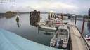 ./images/quadra/hbidock/20200517/hbidock20200517_132000M.jpg