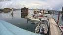 ./images/quadra/hbidock/20200517/hbidock20200517_134000M.jpg