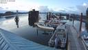 ./images/quadra/hbidock/20200517/hbidock20200517_205000M.jpg