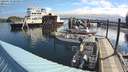 ./images/quadra/hbidock/20200518/hbidock20200518_083000M.jpg