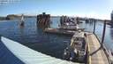 ./images/quadra/hbidock/20200519/hbidock20200519_074500M.jpg