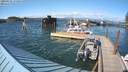 ./images/quadra/hbidock/20200521/hbidock20200521_171000M.jpg