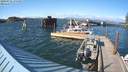 ./images/quadra/hbidock/20200521/hbidock20200521_175000M.jpg