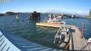 ./images/quadra/hbidock/20200521/hbidock20200521_180500M.jpg