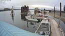 ./images/quadra/hbidock/20200524/hbidock20200524_151500M.jpg