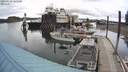 ./images/quadra/hbidock/20200525/hbidock20200525_164500M.jpg