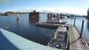 ./images/quadra/hbidock/20200526/hbidock20200526_080000M.jpg