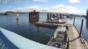./images/quadra/hbidock/20200526/hbidock20200526_082500M.jpg