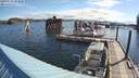 ./images/quadra/hbidock/20200526/hbidock20200526_083000M.jpg