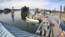 ./images/quadra/hbidock/20200527/hbidock20200527_180500M.jpg