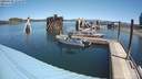 ./images/quadra/hbidock/20200528/hbidock20200528_122500M.jpg