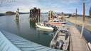./images/quadra/hbidock/20200528/hbidock20200528_162000M.jpg