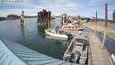 ./images/quadra/hbidock/20200528/hbidock20200528_163500M.jpg