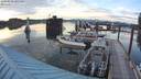 ./images/quadra/hbidock/20200528/hbidock20200528_205000M.jpg