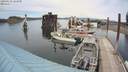 ./images/quadra/hbidock/20200529/hbidock20200529_143000M.jpg