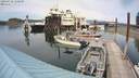 ./images/quadra/hbidock/20200529/hbidock20200529_150500M.jpg