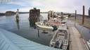 ./images/quadra/hbidock/20200529/hbidock20200529_155500M.jpg