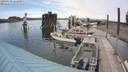 ./images/quadra/hbidock/20200529/hbidock20200529_161500M.jpg