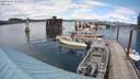 ./images/quadra/hbidock/20200601/hbidock20200601_152500M.jpg