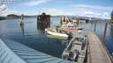 ./images/quadra/hbidock/20200601/hbidock20200601_162500M.jpg