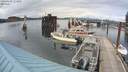 ./images/quadra/hbidock/20200601/hbidock20200601_174500M.jpg