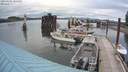 ./images/quadra/hbidock/20200601/hbidock20200601_185500M.jpg