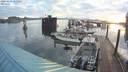 ./images/quadra/hbidock/20200603/hbidock20200603_055000M.jpg