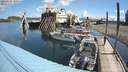 ./images/quadra/hbidock/20200603/hbidock20200603_105500M.jpg