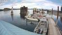 ./images/quadra/hbidock/20200603/hbidock20200603_132000M.jpg