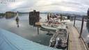 ./images/quadra/hbidock/20200604/hbidock20200604_071500M.jpg