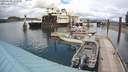 ./images/quadra/hbidock/20200604/hbidock20200604_144500M.jpg
