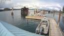 ./images/quadra/hbidock/20200605/hbidock20200605_154500M.jpg