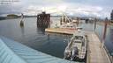 ./images/quadra/hbidock/20200605/hbidock20200605_155000M.jpg