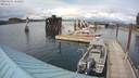 ./images/quadra/hbidock/20200605/hbidock20200605_160000M.jpg