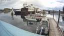 ./images/quadra/hbidock/20200606/hbidock20200606_090000M.jpg