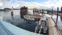 ./images/quadra/hbidock/20200606/hbidock20200606_093500M.jpg