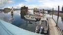 ./images/quadra/hbidock/20200606/hbidock20200606_100000M.jpg