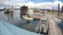 ./images/quadra/hbidock/20200606/hbidock20200606_151000M.jpg