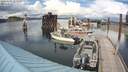 ./images/quadra/hbidock/20200606/hbidock20200606_155500M.jpg