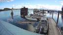 ./images/quadra/hbidock/20200607/hbidock20200607_091500M.jpg