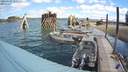 ./images/quadra/hbidock/20200607/hbidock20200607_111500M.jpg