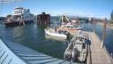 ./images/quadra/hbidock/20200607/hbidock20200607_172500M.jpg