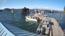 ./images/quadra/hbidock/20200607/hbidock20200607_180000M.jpg