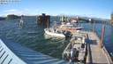 ./images/quadra/hbidock/20200607/hbidock20200607_183500M.jpg