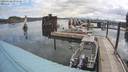 ./images/quadra/hbidock/20200608/hbidock20200608_094500M.jpg
